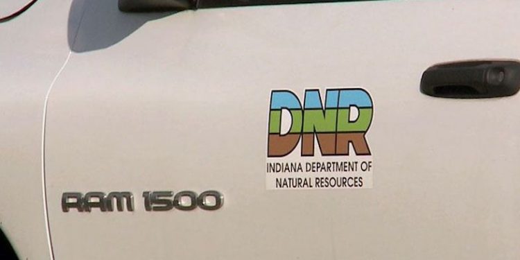 On-site holiday light shows will shine at six DNR destinations in December, DNR officials say