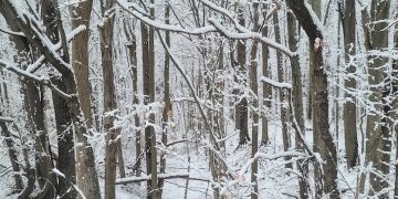 Start at the Nature Center for your Story Walk journey to get information from the naturalist on where to begin your hike onto Peppermint Loop, state officials say