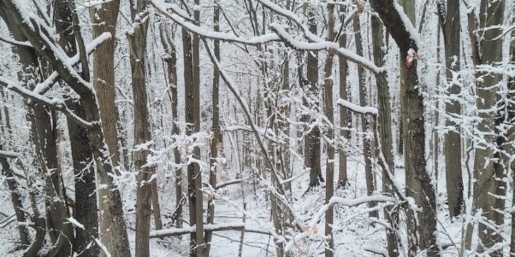 Start at the Nature Center for your Story Walk journey to get information from the naturalist on where to begin your hike onto Peppermint Loop, state officials say