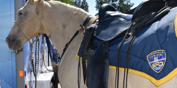 Evansville Police Department officials announced the passing of one of their horses, Blondie