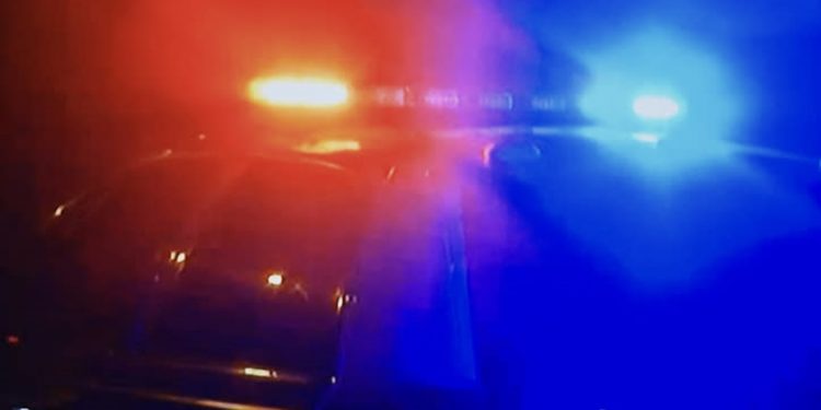 Dog Shot in Evansville, Police Investigating Incident