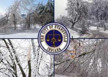 Evansville and Vanderburgh County Set Up Tree Debris Drop-Off Site for Winter Storm Victims