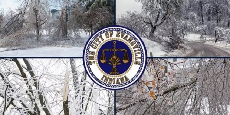 Evansville and Vanderburgh County Set Up Tree Debris Drop-Off Site for Winter Storm Victims