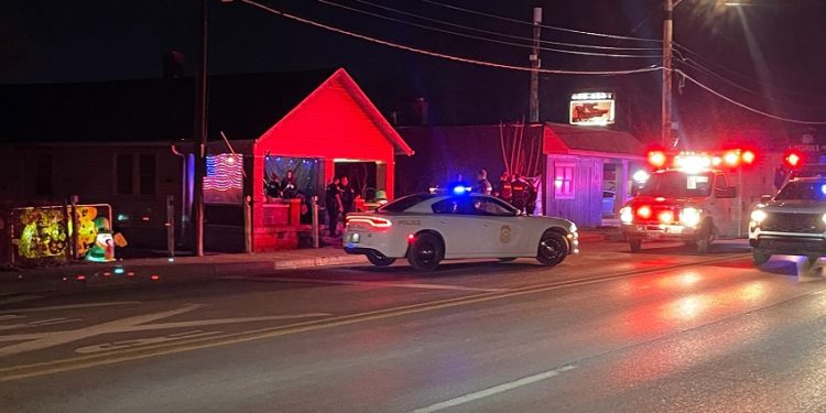 Dog Struck by Vehicle After Being Abandoned at Evansville Hotel