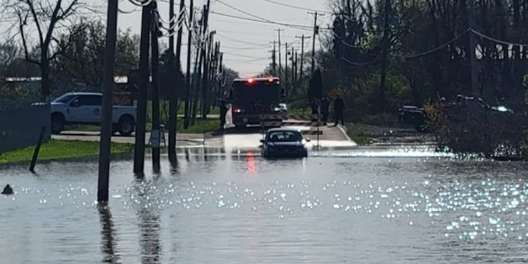 Water Rescue Responders Save Driver After Car Becomes Stuck in Floodwater