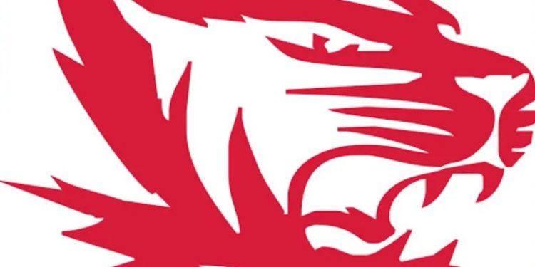 North Gibson School Corporation Closes Friday After Tornado Damage in Princeton