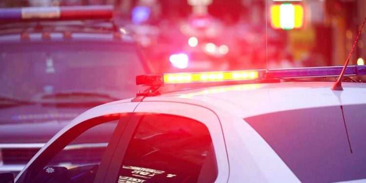 Fatal Dog Attack Claims Two Lives in Dubois County