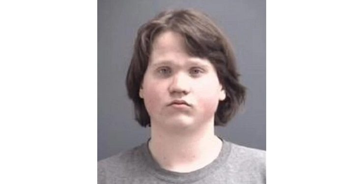 Teen Arrested for DUI After Crash in Gibson County