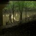 Body Found in Pigeon Creek Identified as Evansville Man