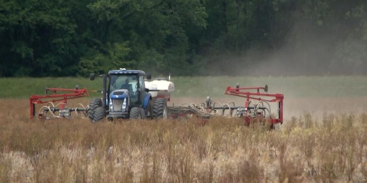 Rainy Spring Delays Planting for Indiana Farmers, Creating Challenges Amid Tight Margins