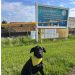 Warrick Humane Society Announces Groundbreaking for New Shelter