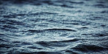 Princeton Man Dies in Boating Accident in Pike County