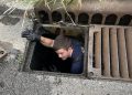 Firefighters rescue ducklings from storm drain in Evansville