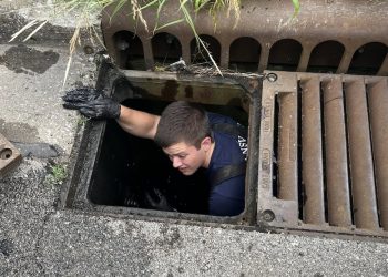 Firefighters rescue ducklings from storm drain in Evansville