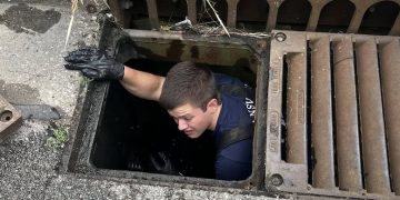 Firefighters rescue ducklings from storm drain in Evansville
