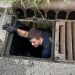 Firefighters rescue ducklings from storm drain in Evansville