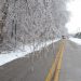 Evansville, Vanderburgh County declare state of emergency ahead of winter storm