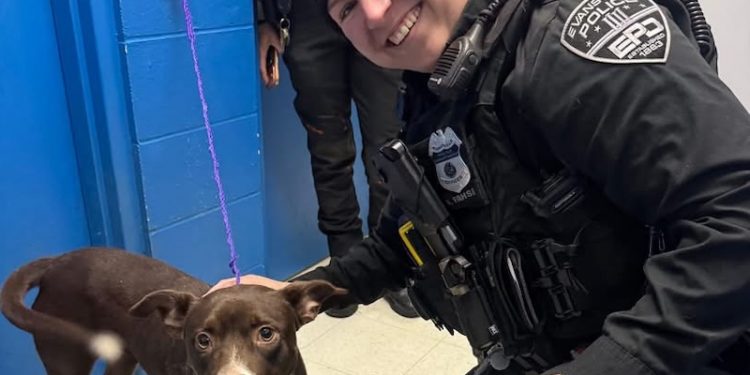 Evansville police introduce new crime prevention officer for South 3 area