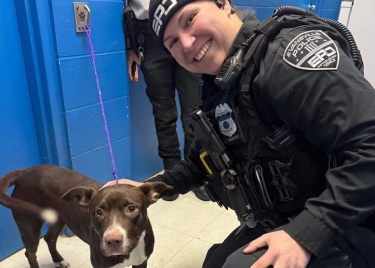 Evansville police introduce new crime prevention officer for South 3 area